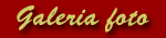 Arlecchino